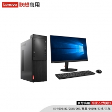 联想（lenovo）启天M428-A329 I5-9500/8G/256G/DOS/集显/DVDRW/23寸/三年/台式计算机（Intel 酷睿i5-9代 固态硬盘）